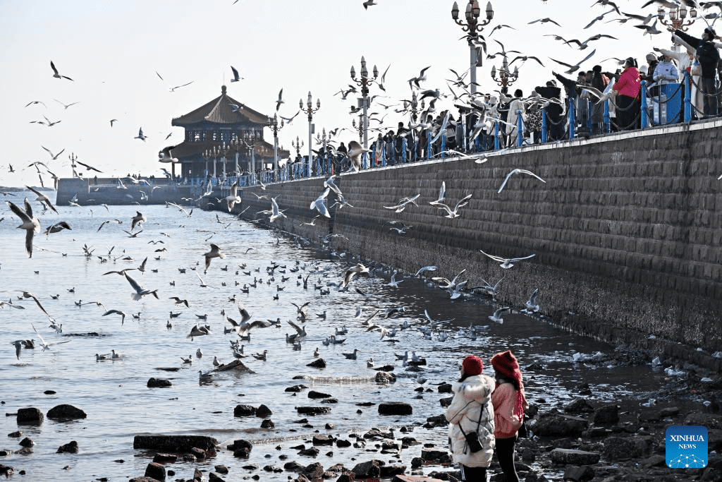 Tourists visit Zhanqiao Bridge scenic spot in east China-2