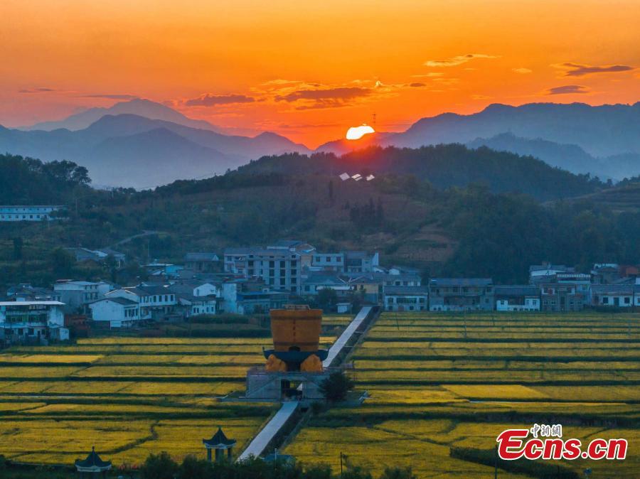 Autumn turns terraced fields into color palette in Hubei-5