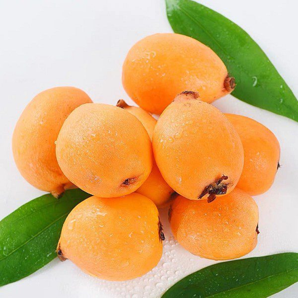 Wengong Loquat-1