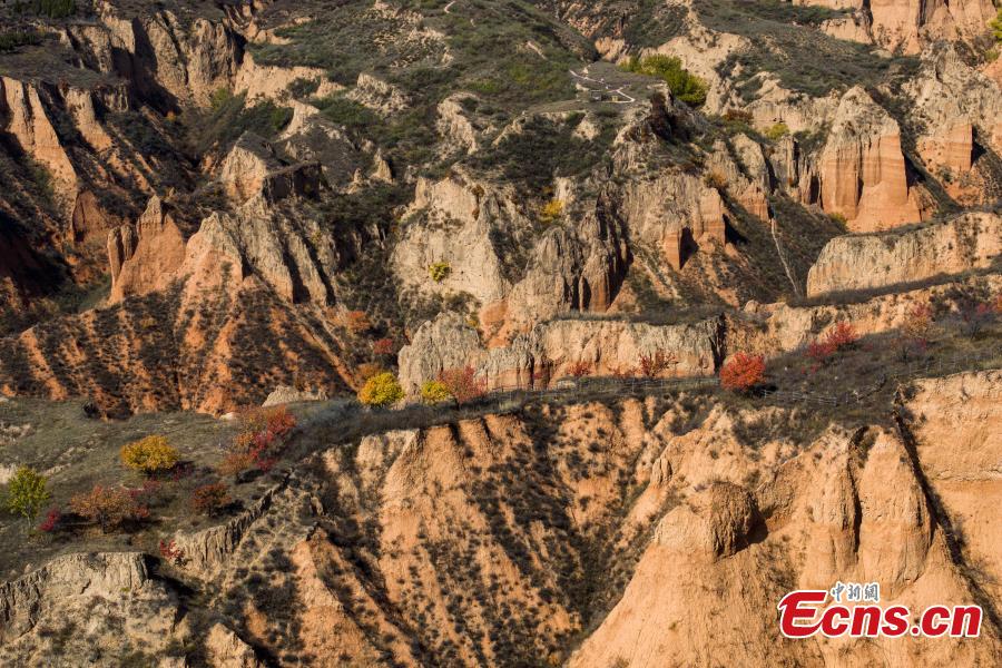 Magnificent scenery of Mahuangliang Loess Geopark in Shaanxi-5