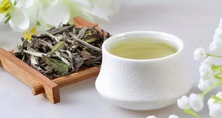 Ten Things About White Tea – How Many Do You Know?-4