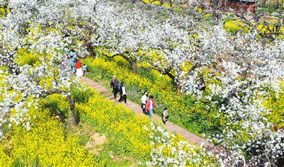 Eco-tourism injects vitality into beautiful, harmonious countryside