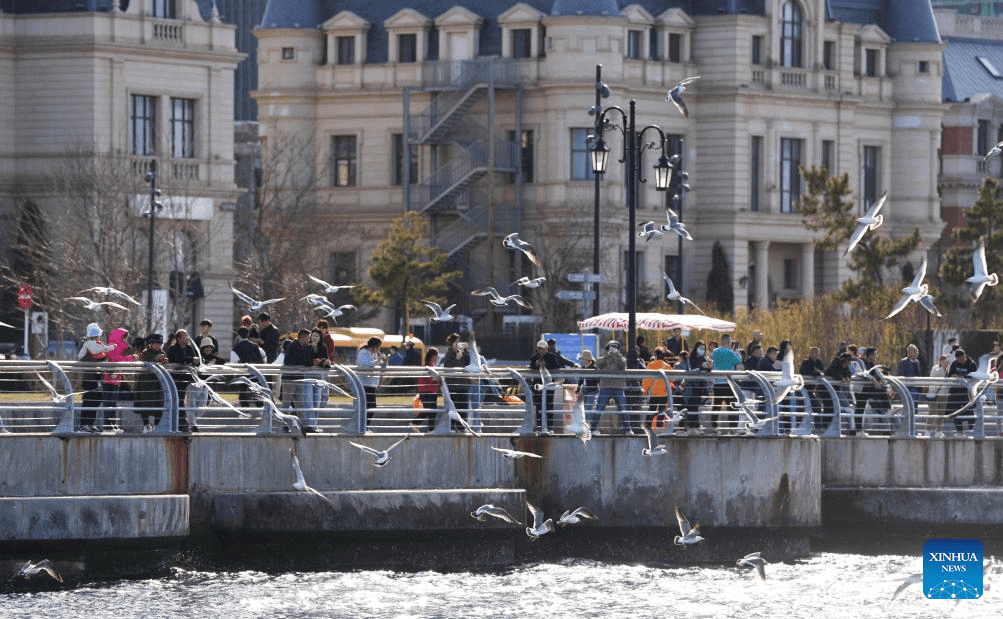 Tourists enjoy themselves in Dalian, NE China-6