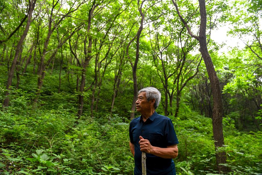 Village in Beijing develops tourism relying on Great Wall resources-11