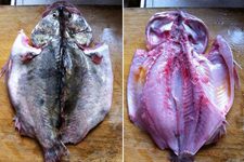 The Stinky Mandarin Fish Recipe-2