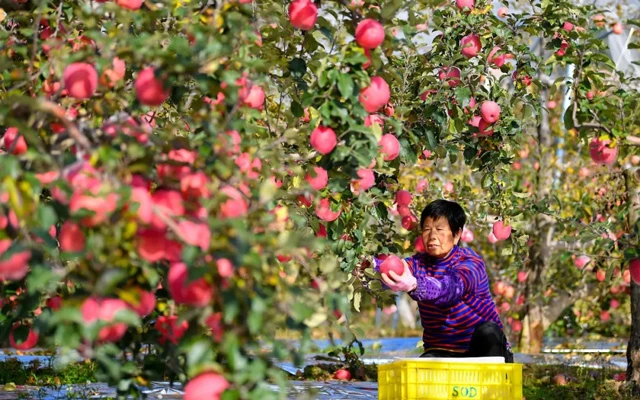 Tianshui Unveiled: Why This Chinese City is Climbing the Tourist Charts-5