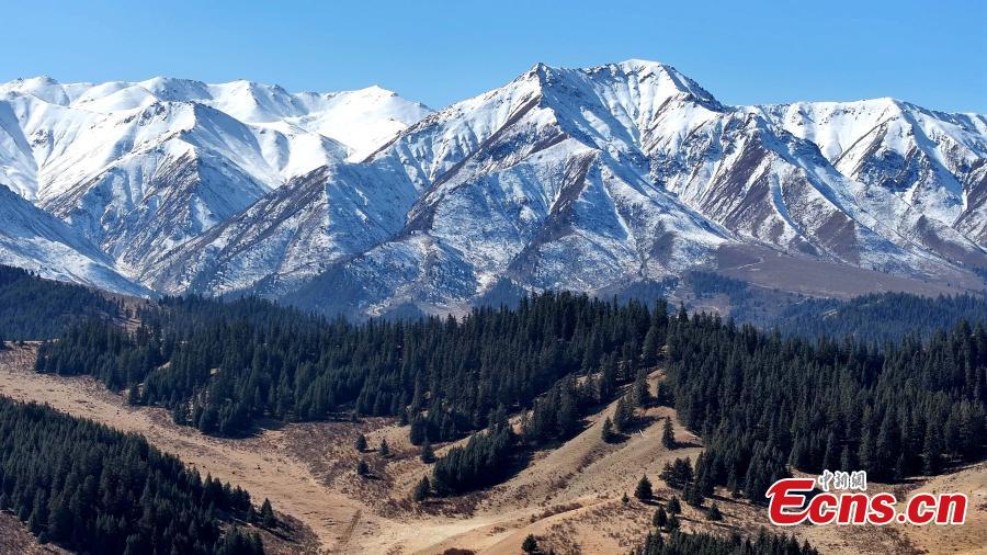 Snow-capped Qilian Mountain Range under blue sky-1