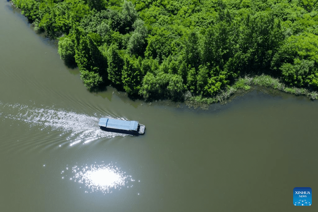 Zhejiang's national wetland park makes efforts to improve ecological environment-5