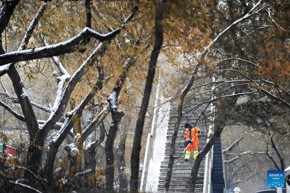 View of snow-covered Harbin in NE China-1