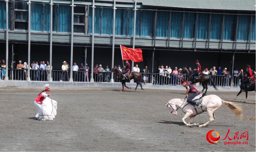 Akhal-Teke horses draw tourists, boost local economy in NW China's Xinjiang-1