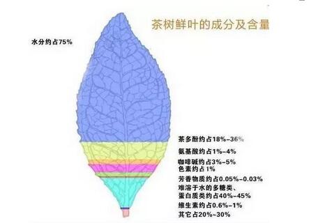 Where do the fresh, sweet, bitter, and astringent tastes in tea come from?-2