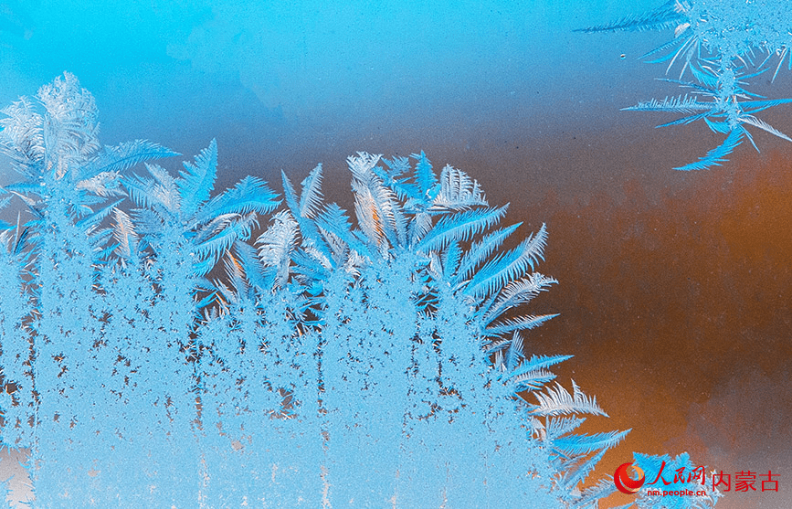 Winter's delicate artwork: Ice forms flower patterns on windows in N China-6