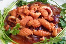 Cooking Squid Recipes-4