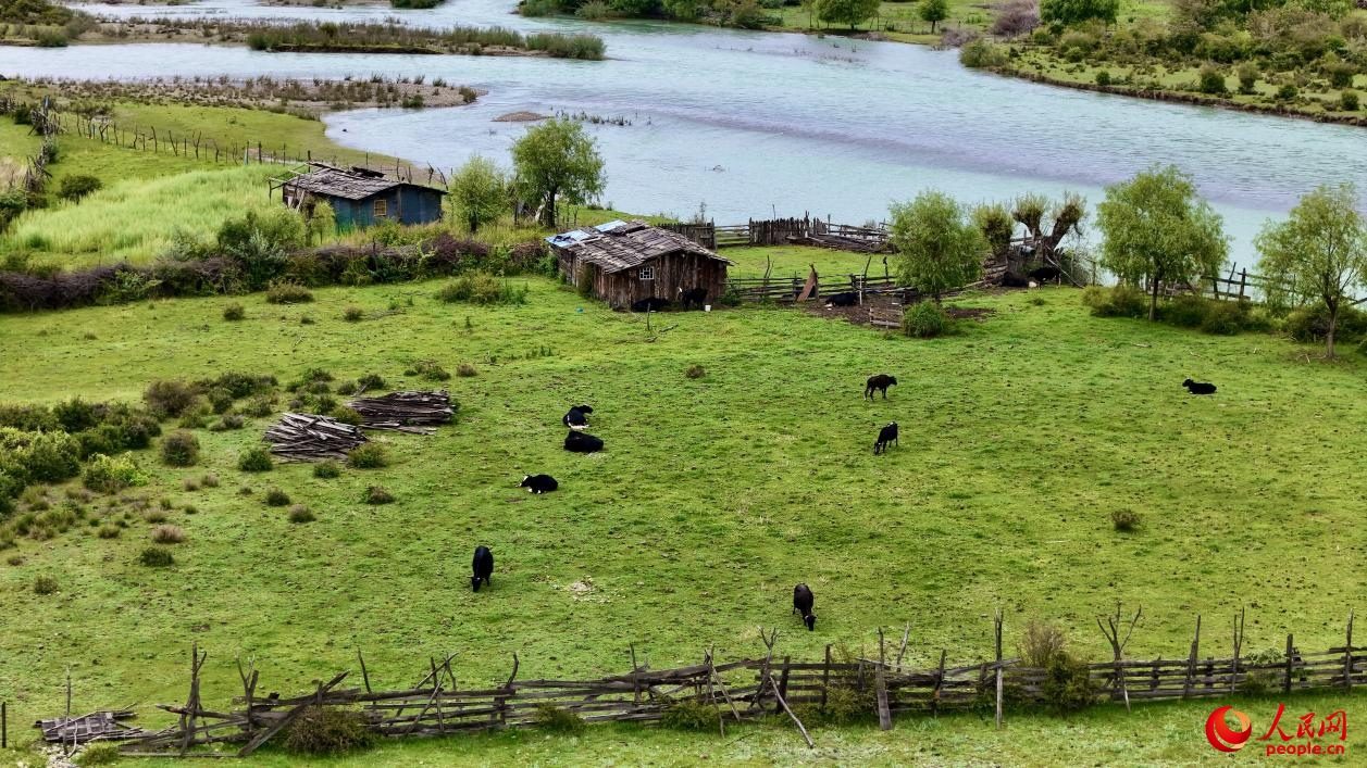 Picturesque views of Yani national wetland park in SW China's Xizang-3