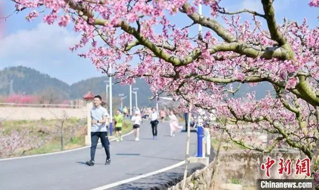 Guiyang, SW China's Guizhou launches diverse activities to upgrade flower viewing tours-1