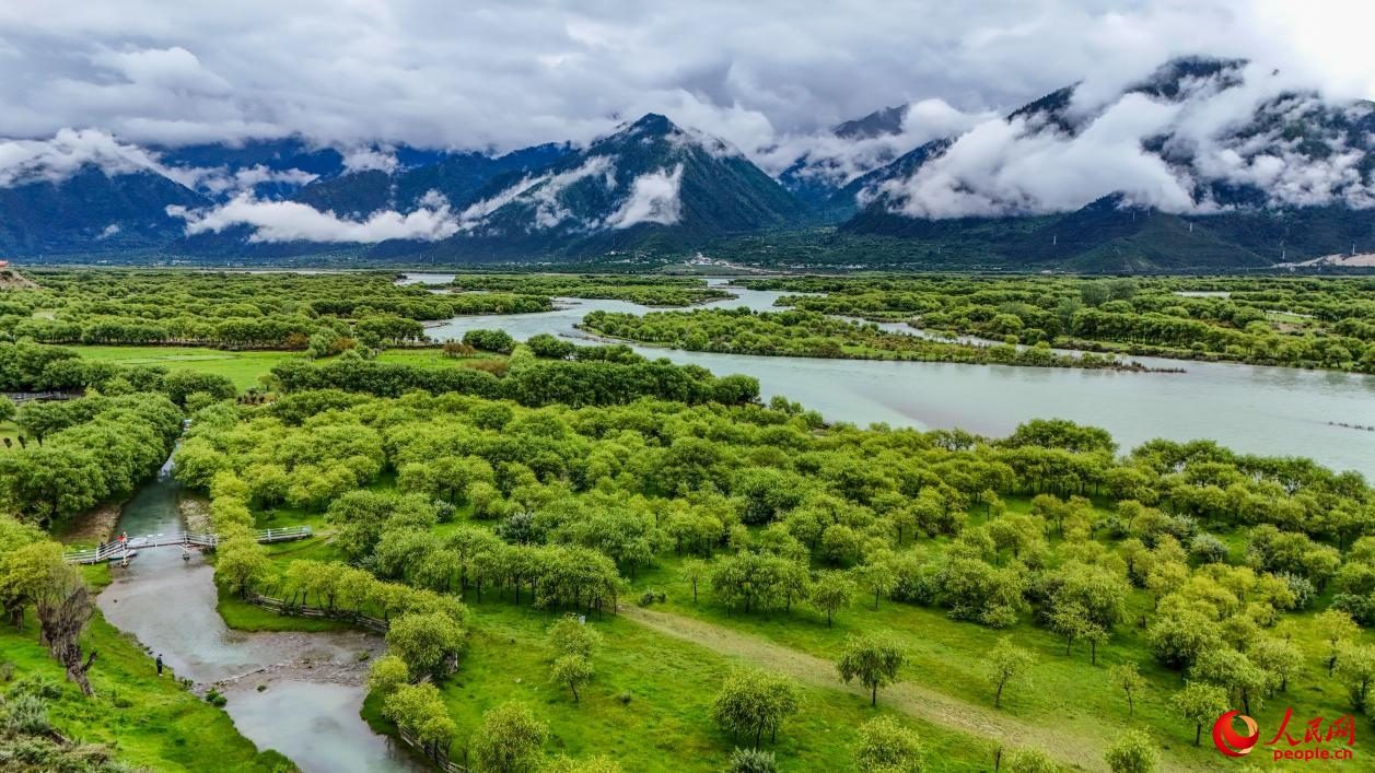 Picturesque views of Yani national wetland park in SW China's Xizang-5