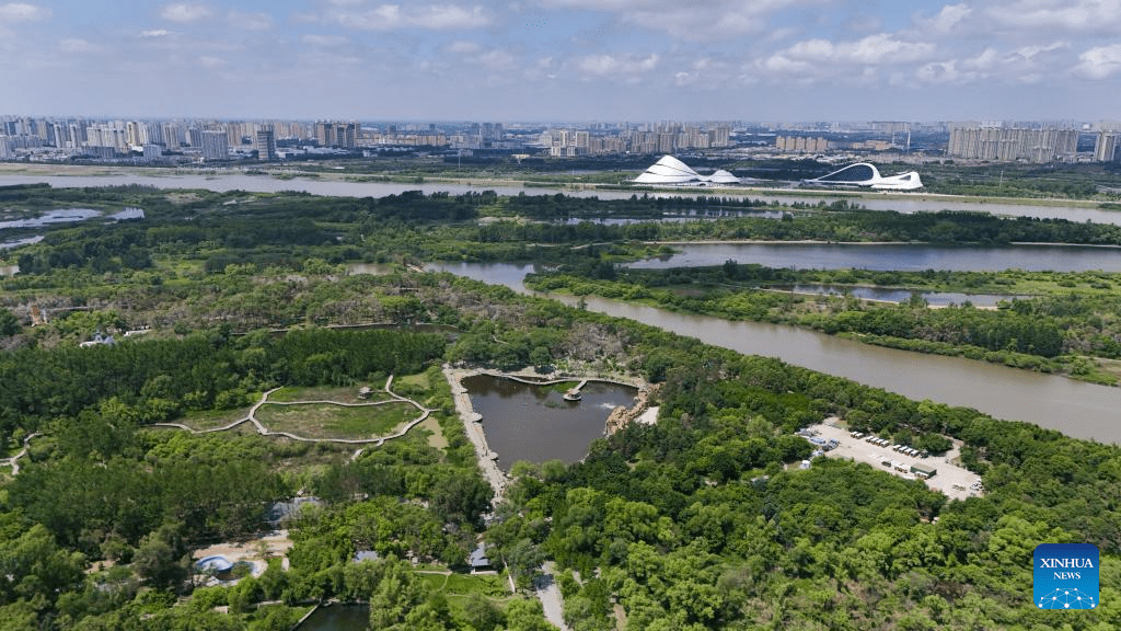 Aerial view of Heilongjiang Taiyangdao National Wetland Park-5