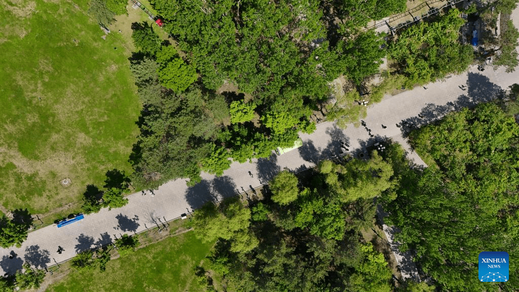 Aerial view of Heilongjiang Taiyangdao National Wetland Park-9