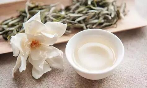 White Tea at its Best Beats Cordyceps Sinensis!-2