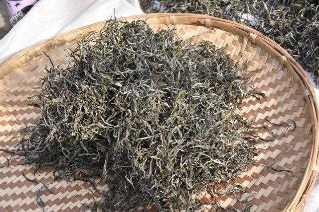 Mansong Tea: Why It's Delicious and Its Characteristics-3