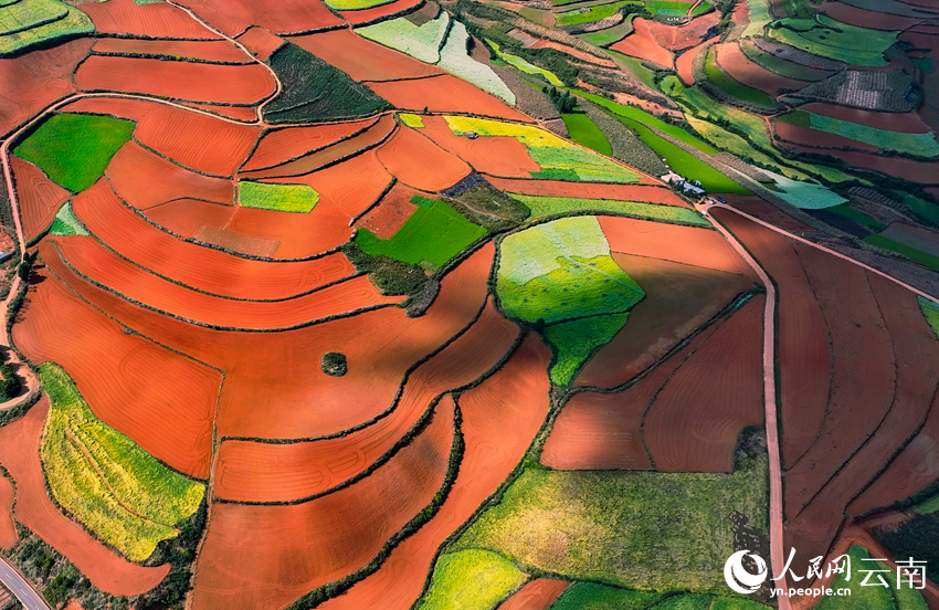 In pics: Colorful terraced fields in SW China's Yunnan resemble palette-1