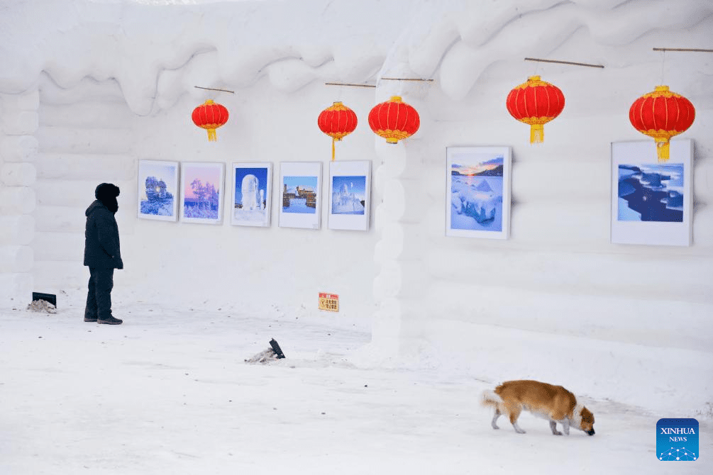 China's Mohe develops various winter tourism programs-9