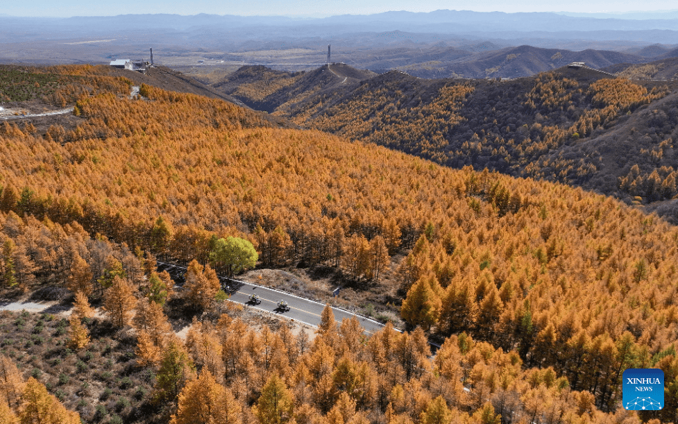 Autumn scenery in N China-5