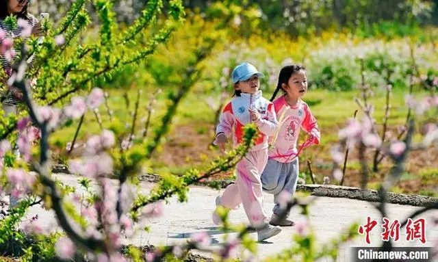 Guiyang, SW China's Guizhou launches diverse activities to upgrade flower viewing tours-2