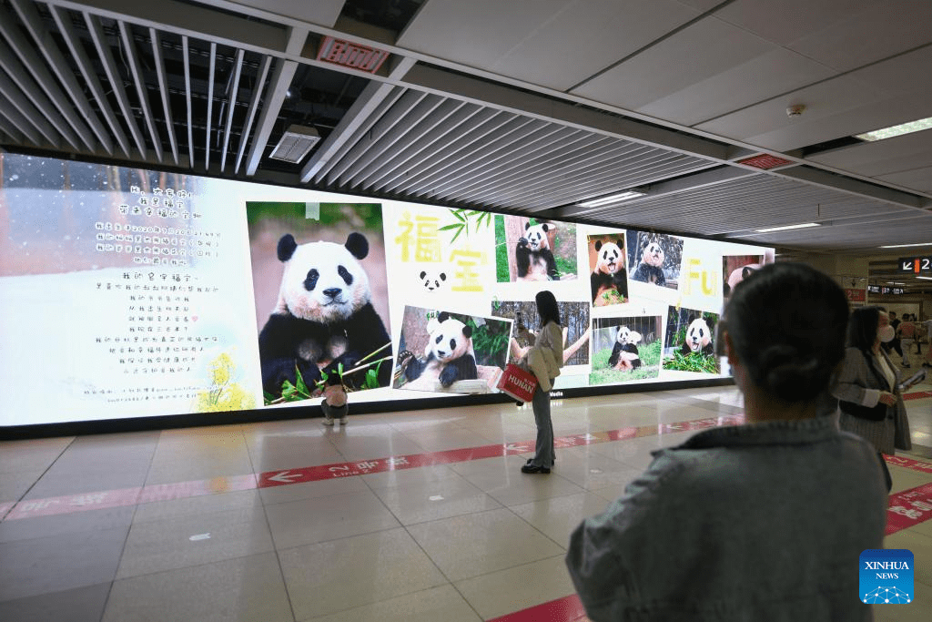 ROK-born giant panda Fu Bao returns to China-1