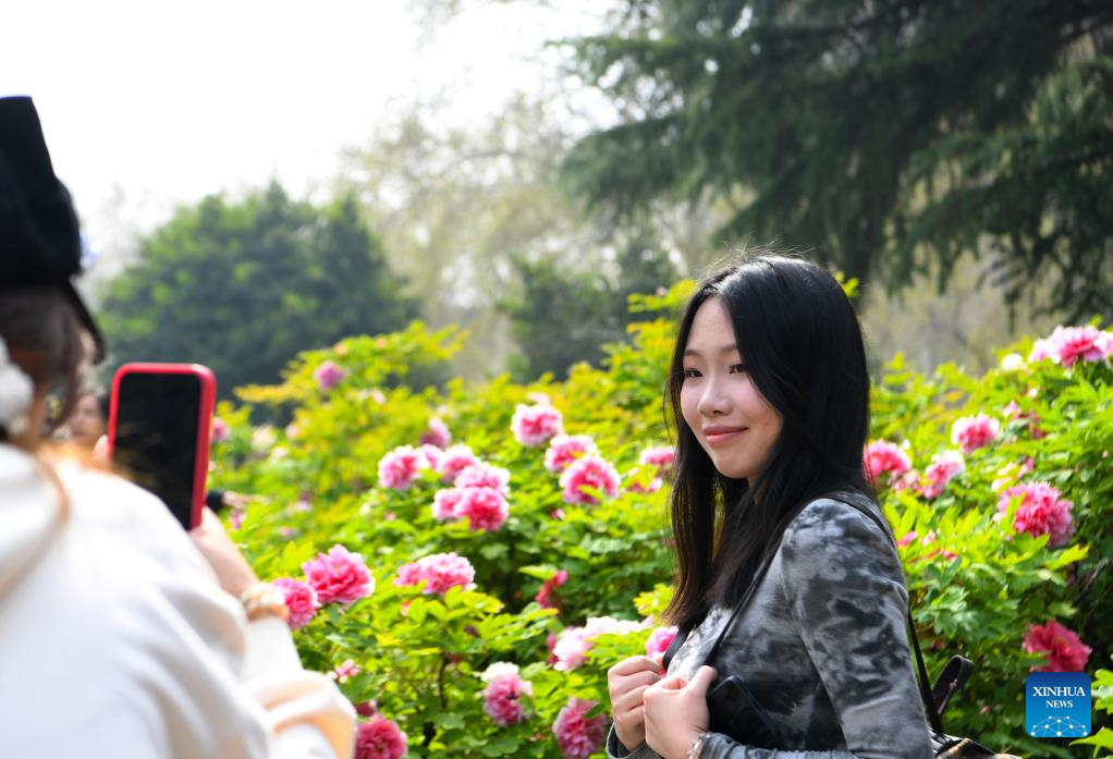 Tourists enjoy blossoming peony flowers in Luoyang, C China's Henan-1