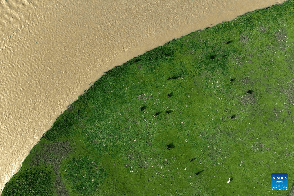 Scenery of Yellow River in Dari County, NW China-3