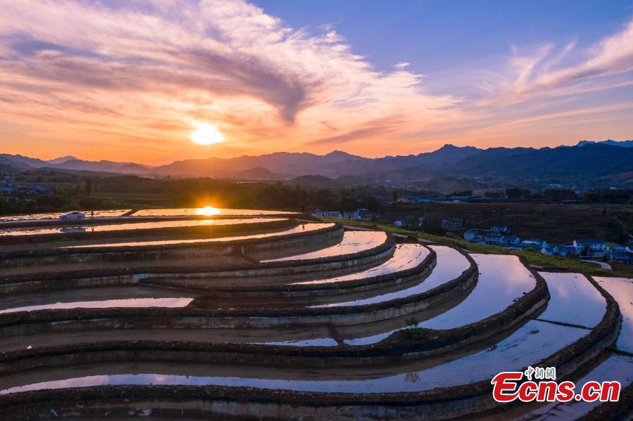 Autumn turns terraced fields into color palette in Hubei-1