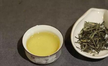 Ten Things About White Tea – How Many Do You Know?-7