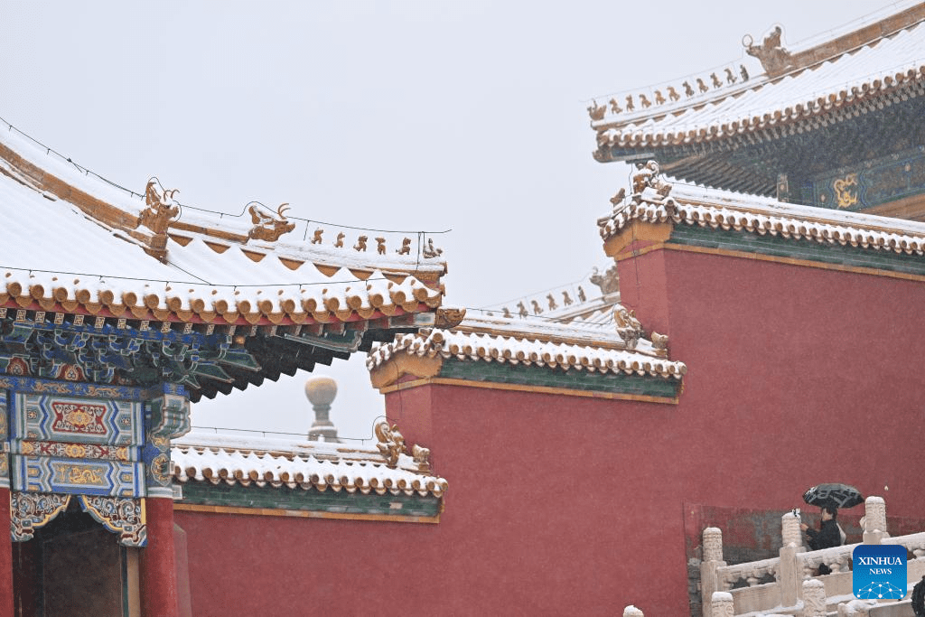 Tourists visit Palace Museum in snow in Beijing-8