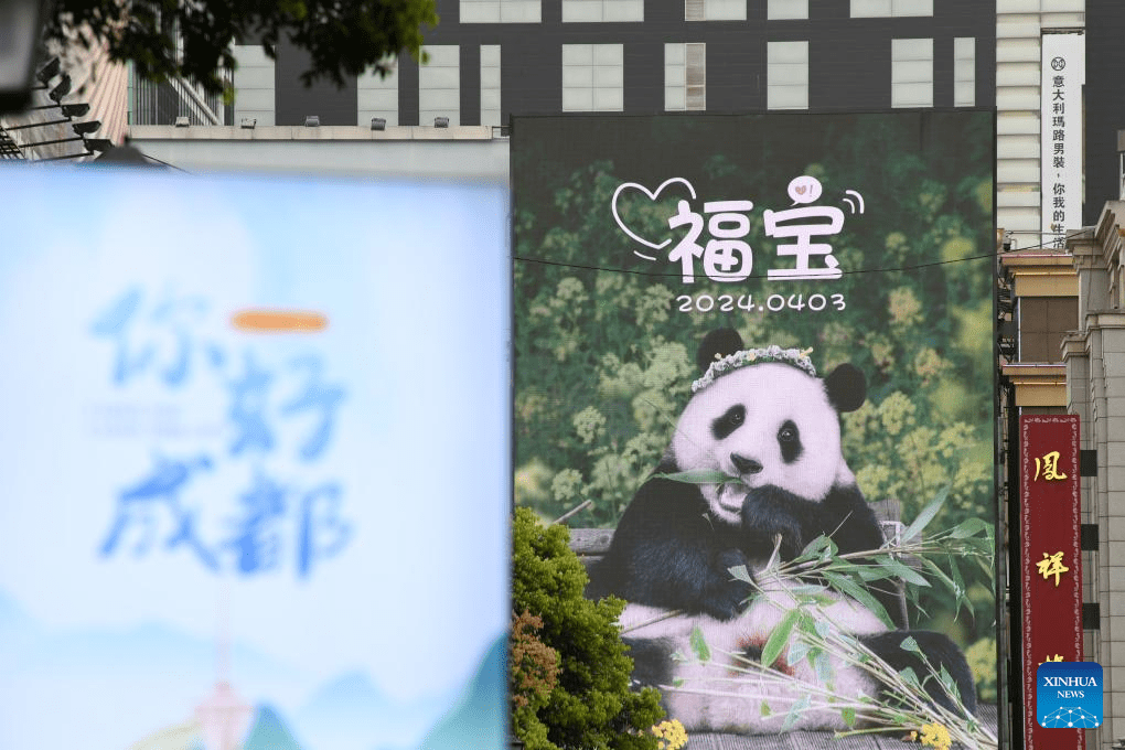 ROK-born giant panda Fu Bao returns to China-10