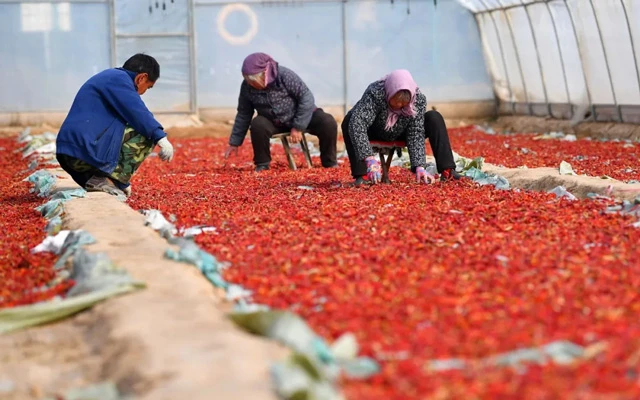 Tianshui Unveiled: Why This Chinese City is Climbing the Tourist Charts-4