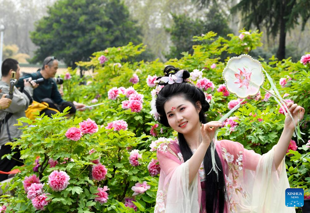 Tourists enjoy blossoming peony flowers in Luoyang, C China's Henan-5