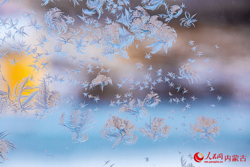 Winter's delicate artwork: Ice forms flower patterns on windows in N China-3