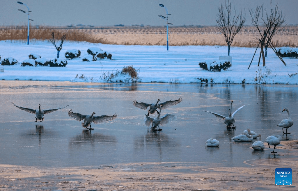 In pics: Snow scenery across China-10