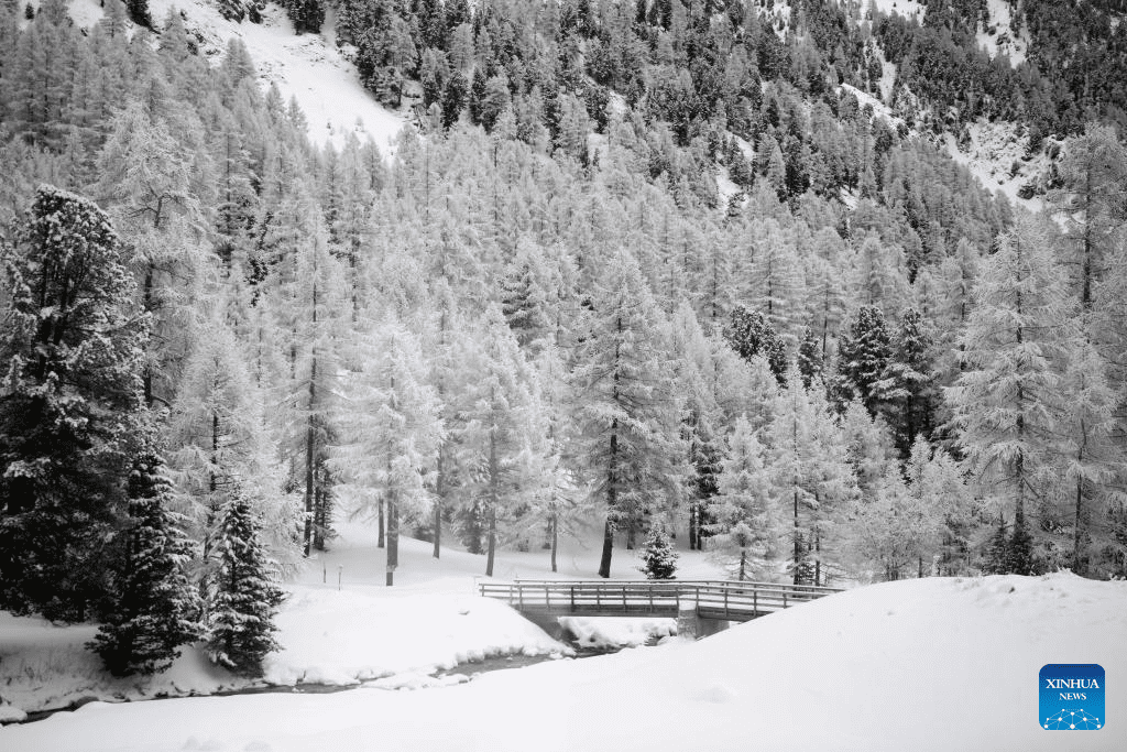 Snow scenery in Switzerland-4