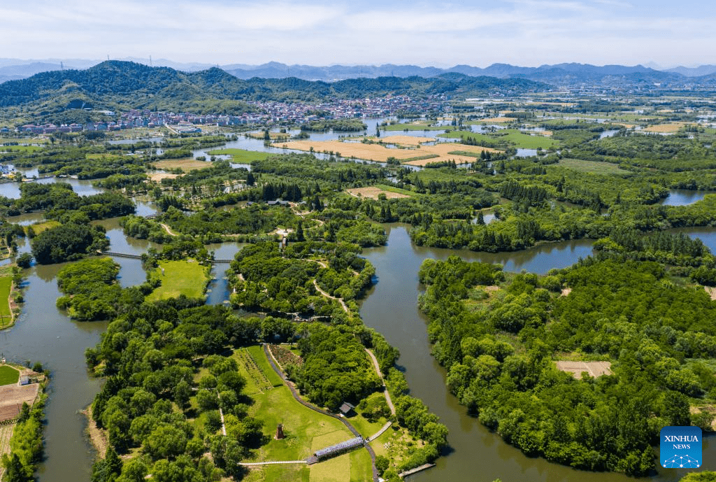 Zhejiang's national wetland park makes efforts to improve ecological environment-4