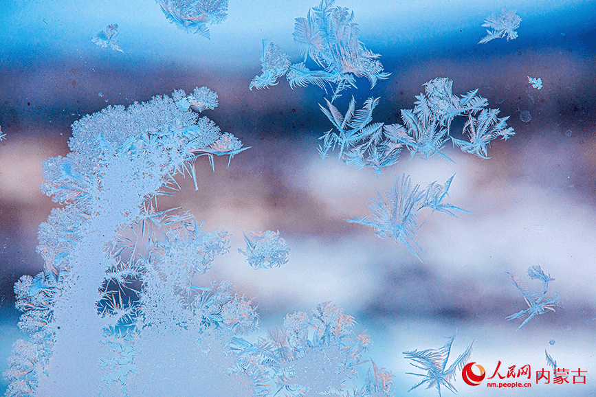 Winter's delicate artwork: Ice forms flower patterns on windows in N China-5