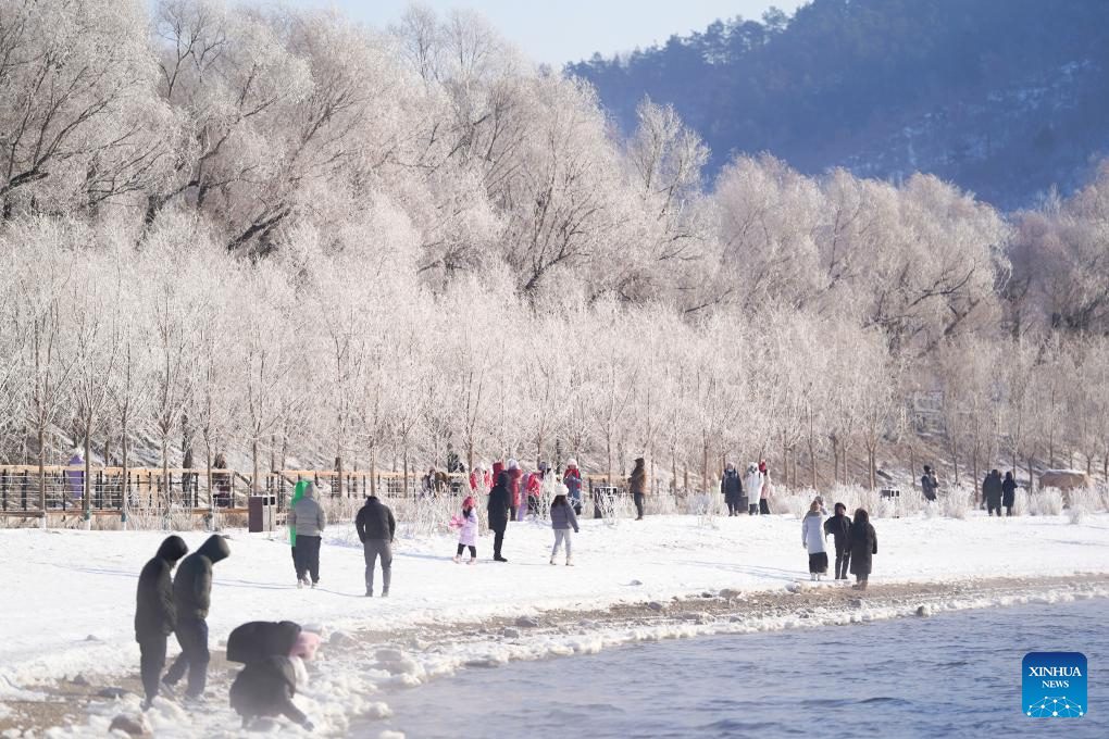 People enjoy rime scenery along Songhua River in NE China's Jilin-1