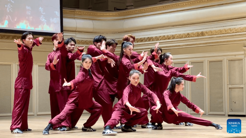 Artists stage Chinese martial arts performance in Bern, Switzerland-4