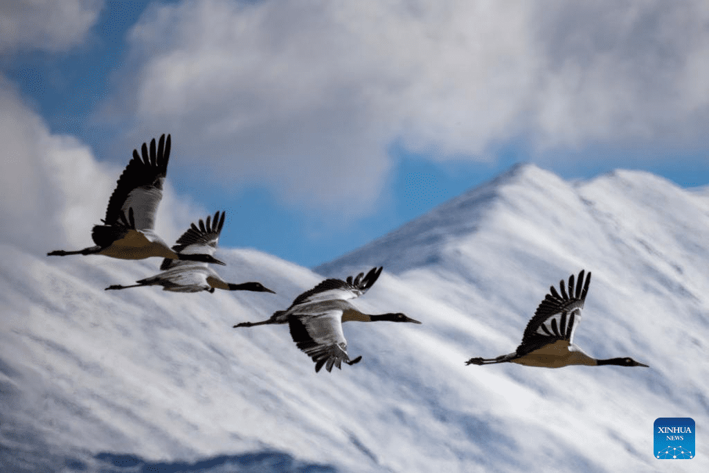 Snow scenery of Lhasa, SW China-2