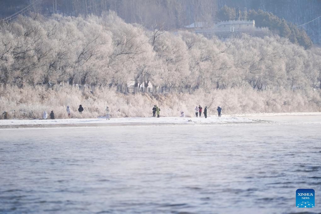 People enjoy rime scenery along Songhua River in NE China's Jilin-4