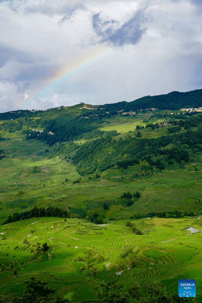 View of Hani terraced fields in Yunnan-5