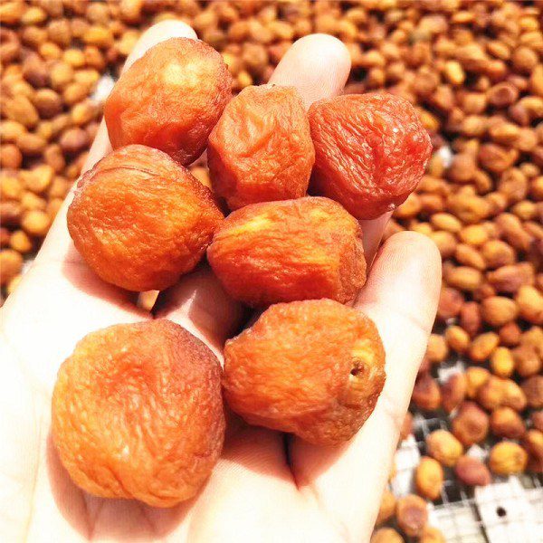 Gongliu Tree-Dried Apricots-1