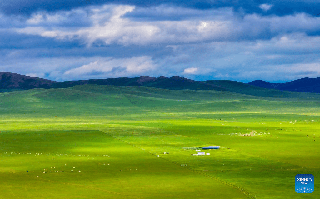 Scenery of grassland in north China's Inner Mongolia-8