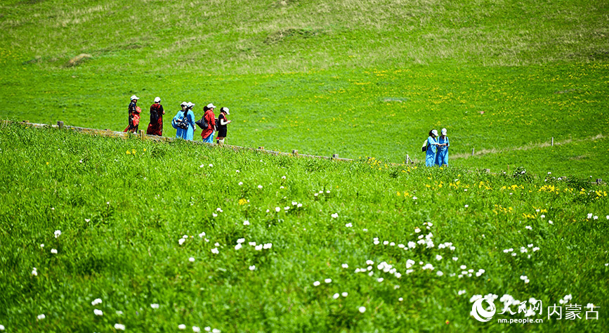 Picturesque summer view in N China's Ulgai Grassland-3